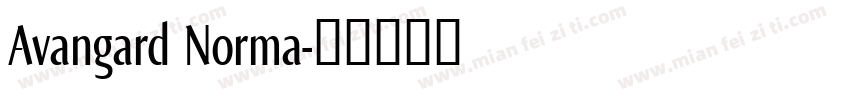Avangard Norma字体转换